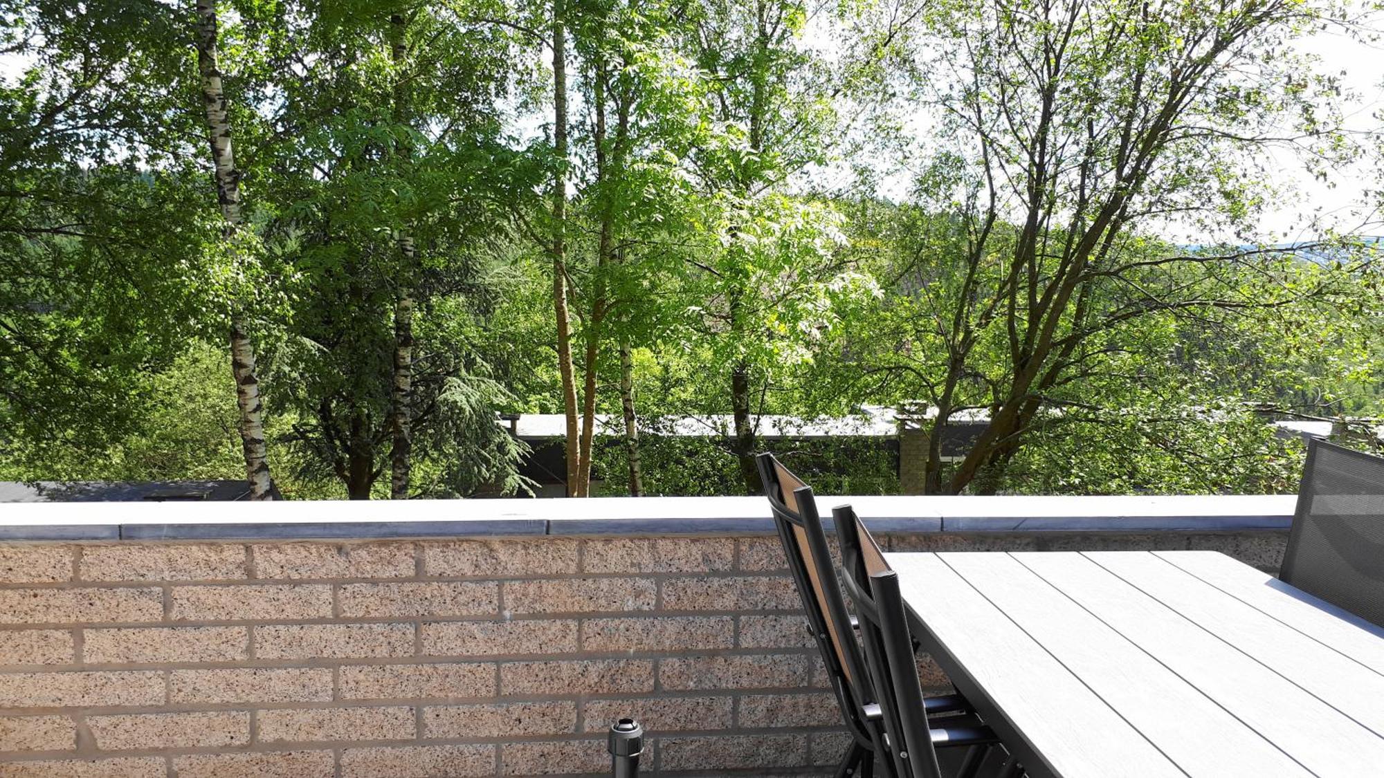 Terrasses De Malmedy F&L Triplex 214 Et Studio 320 Et 317 Et Studio Superieur 340 المظهر الخارجي الصورة